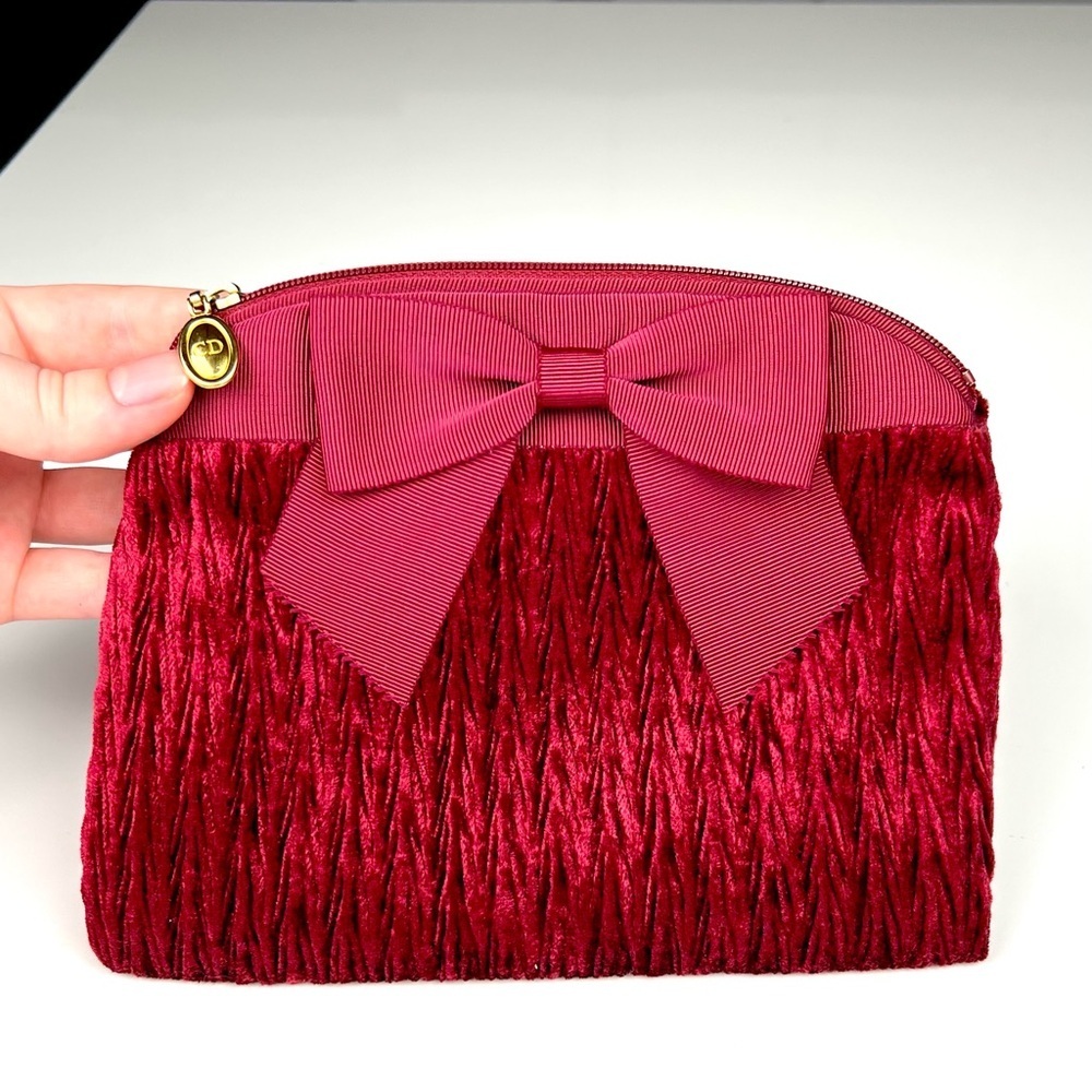 Rare Dior Bow Pouch Case